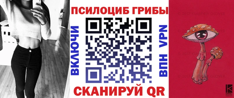 Псилоцибиновые грибы Psilocybe  наркошоп  Костерёво 